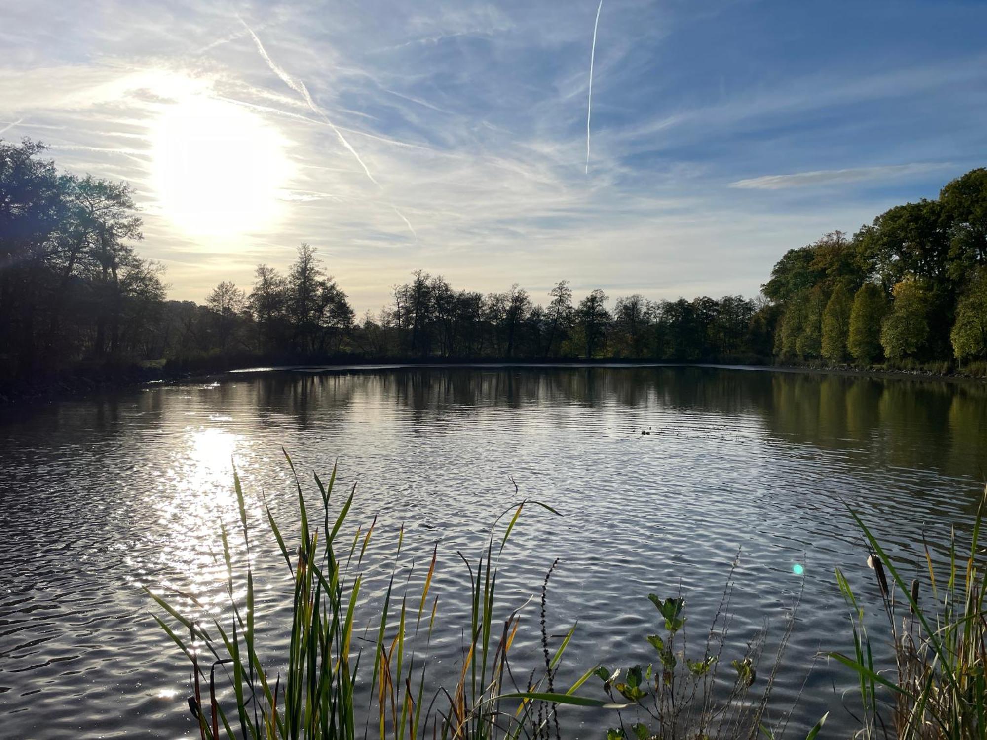 Naturnahe Unterkunft In Der Burgenstadt Schlitz Eksteriør billede